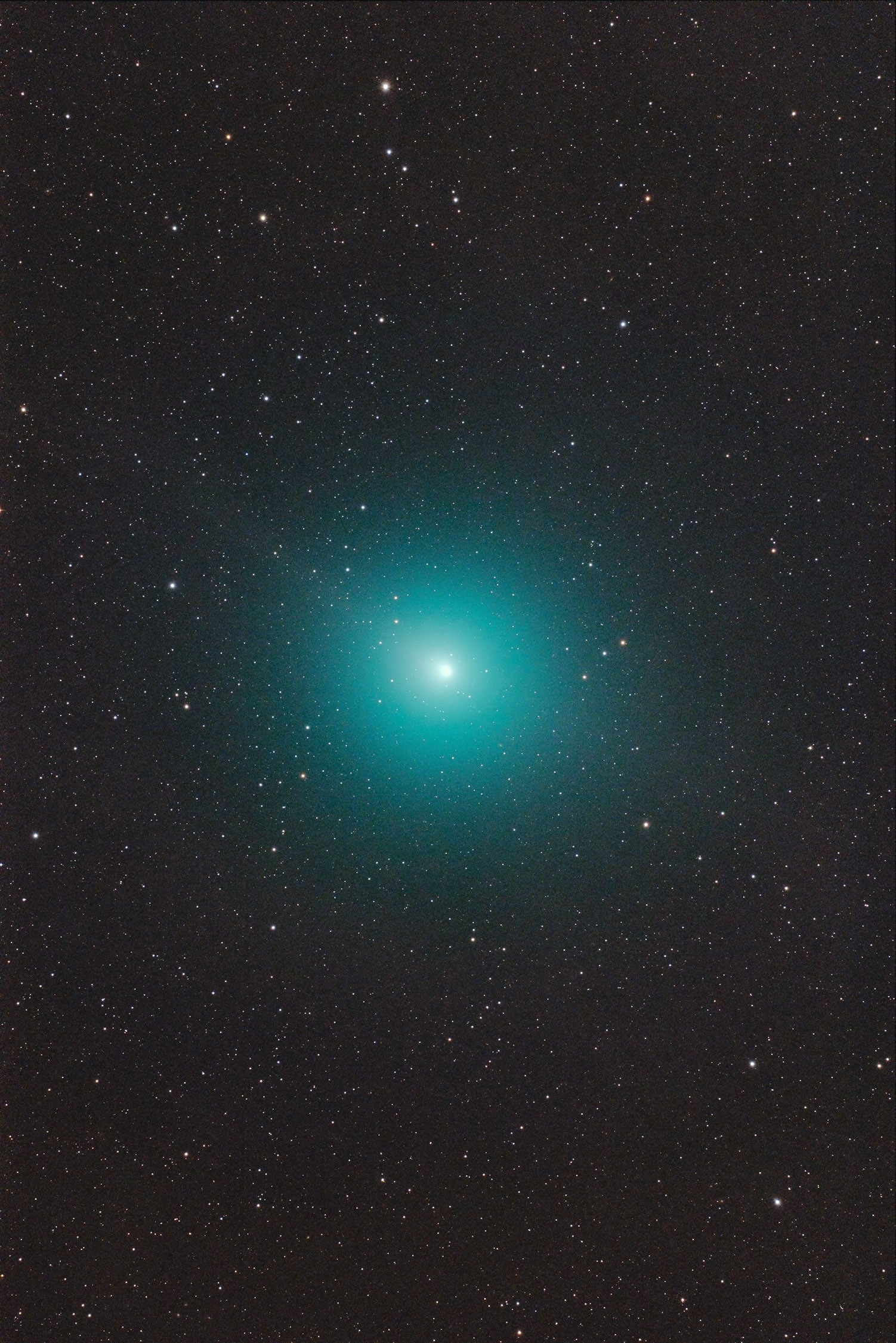Application image: Komet 46P/Wirtanen with Baader Apo95 + D810A by C. Kaltseis