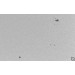 Anwendungsbild: Merkurtransit 2016 - Weißlicht mit Baader Herschelkeil