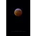 Application image: Lunar Eclipse 2019 - 01 -21, taken with Baader APO 95 CaF2, Nikon Z7, by C. Kaltseis