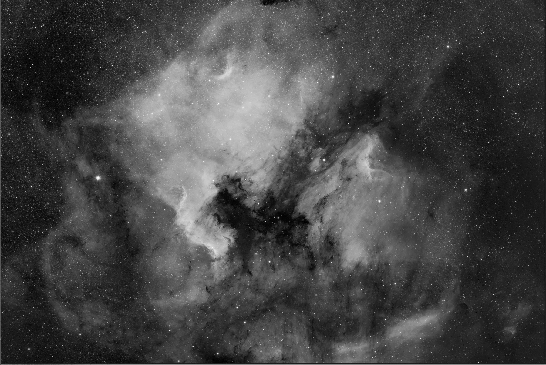 Application image: NGC 7000, RASA 8" with QHY600M EB +Baader 7nm Halpha Filter,  11x270sec, (c) Michael Jäger